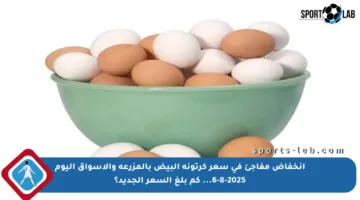 انخفاض مفاجئ في سعر كرتونة البيض بالمزرعة والأسواق اليوم 6-8-2025… كم بلغ السعر الجديد؟